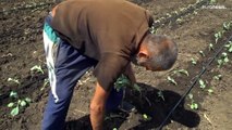 Trotz Krieg arbeiten ukrainische Bauern auf ihren Feldern weiter