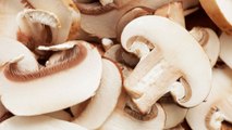 Champignons roh essen: Darauf solltet ihr achten!