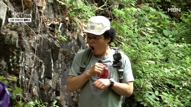 뱀뱀뱀뱀!!!! 산에서 살모사 만나 혼비백산하는 윤택과 지나치게 태연한 자연인?
