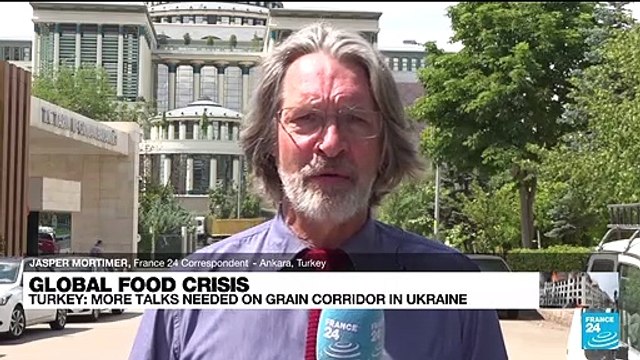 After Lavrov meeting, Turkey says Ukraine grain-export plan reasonable