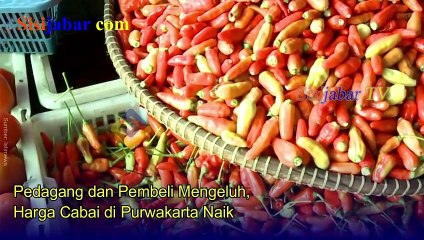 Pedagang dan Pembeli Mengeluh, Harga Cabai di Purwakarta Naik