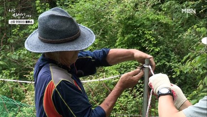 멧돼지와 벌이는 사투?! 산짐승 대비해서 아침부터 대공사 하는 자연인