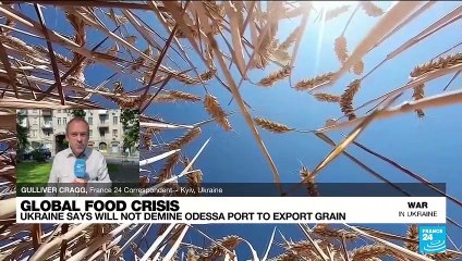 'Empty words': Ukraine dismisses Moscow's assurances over grain shipments