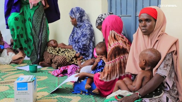 Sécheresse : une explosion de décès menace la Somalie