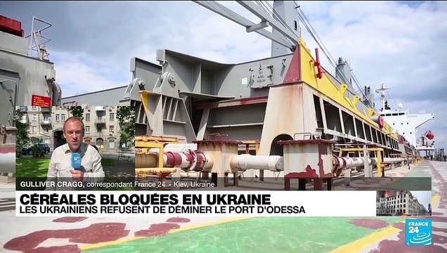 Céréales bloquées en Ukraine : les Ukrainiens refusent de déminer le port d'Odessa