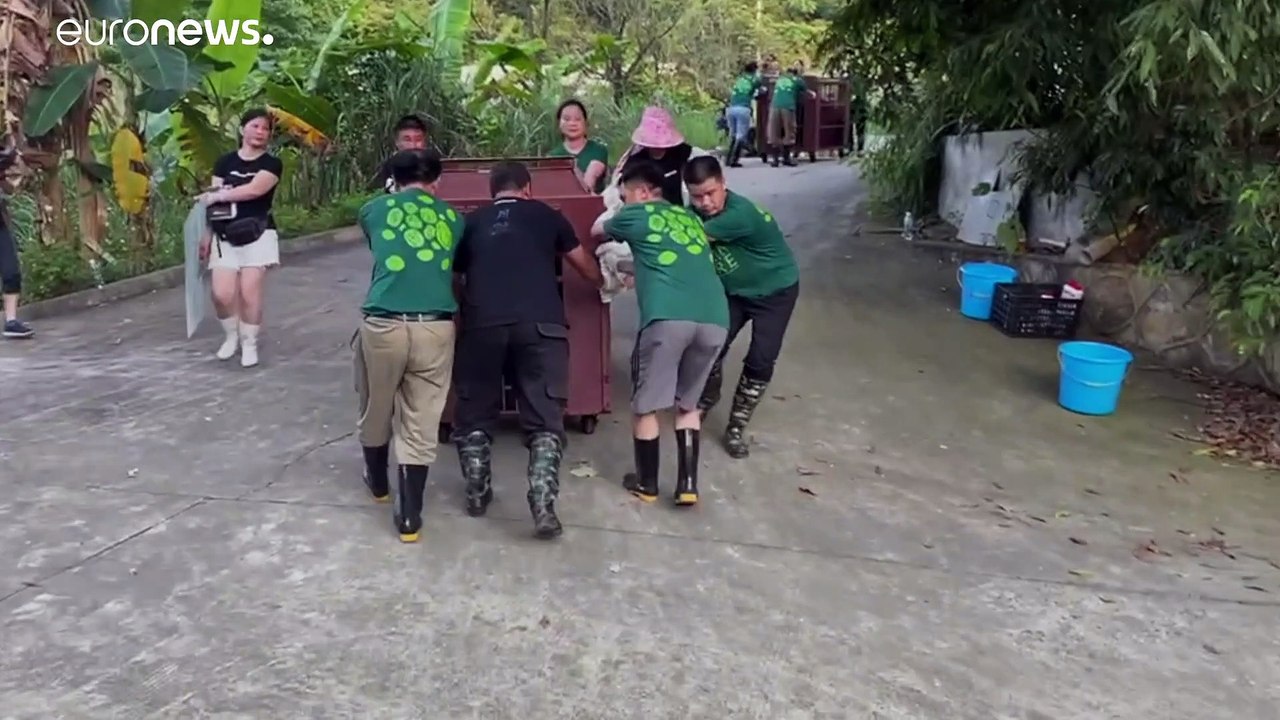 101 Schwarzbären in China: Gerettet vor grausamer Misshandlung