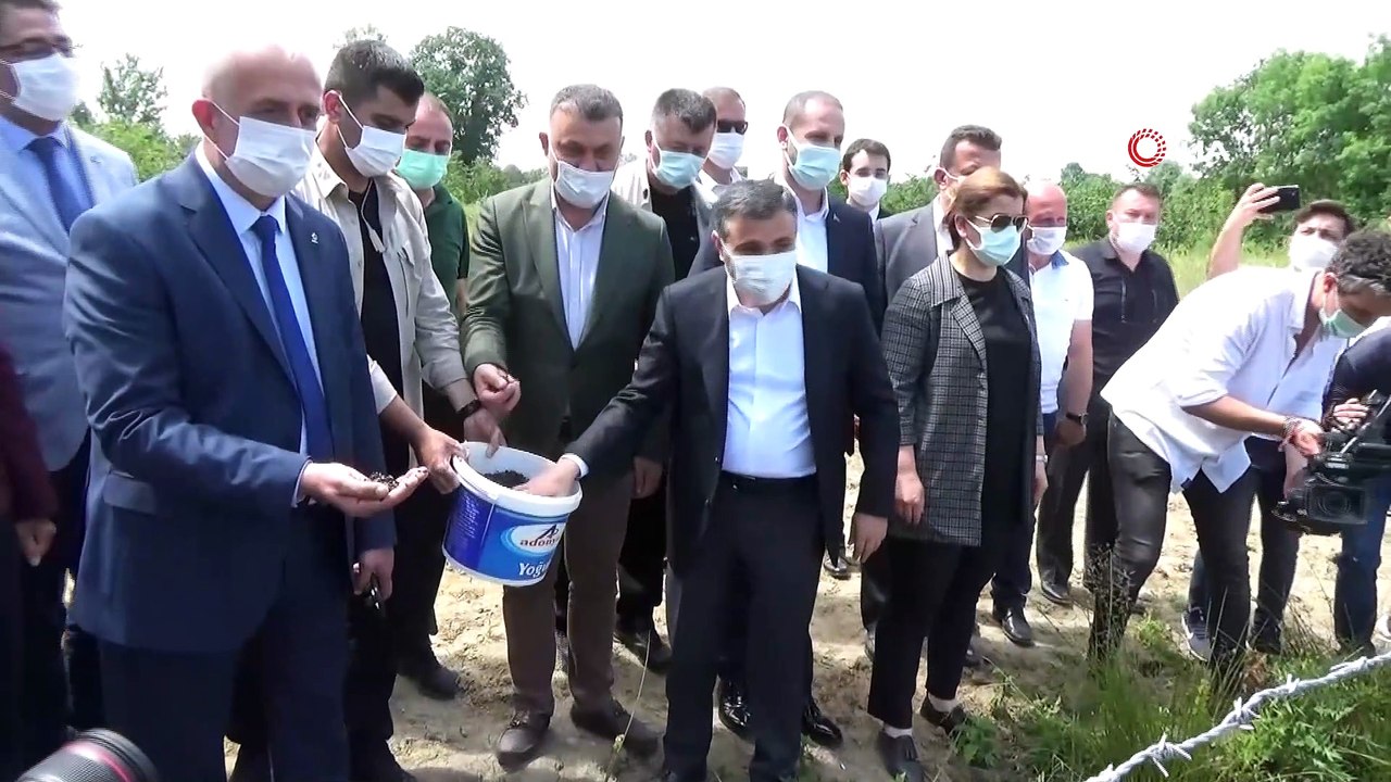Siyah çeltik suyla buluştu