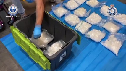Cientos de criminales son detenidos en una macrorredada mundial contra el crimen organizado