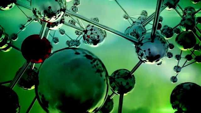 10 Dangerous Recently Discovered Insects