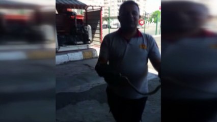 Diyarbakır’da itfaiye ekipleri, araca giren yılanı doğaya bıraktı