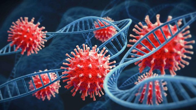 US report leaked: COVID-19 may have leaked from Wuhan Lab