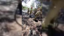 Ormanlık alana sıçrayan anız yangını kontrol altına alındı