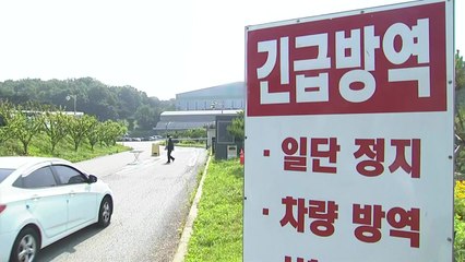 안성 물류센터·강남 부동산 업체...사업장 집단감염 증가 / YTN