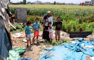 Çadırda yaşayan tarım işçisi aileye kaçak su kullandıkları gerekçesiyle 7 bin lira borç geldi