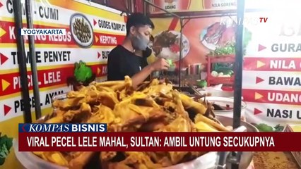 Viral Pecel Lele Mahal, Sultan: Ambil Untung Secukupnya
