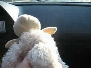 Shaun headband Epica Speed