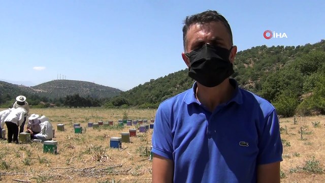 Manisa arıcılığına değer katacak proje