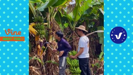 #14 AWW Best FUNNY Videos 2021  TOP People doing stupid things #trend