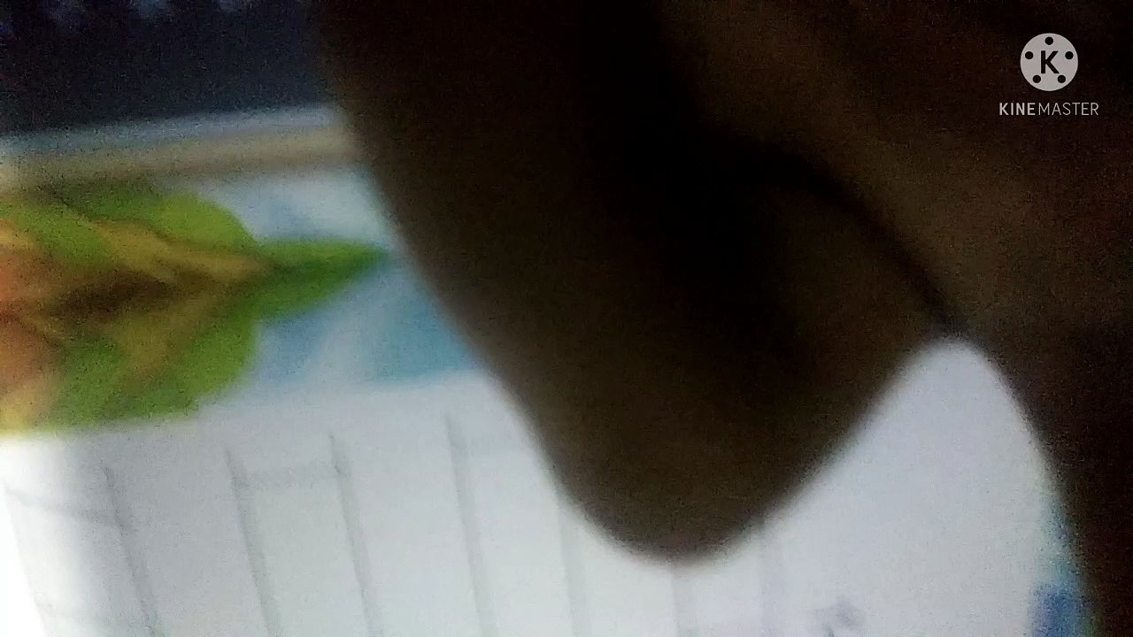learn the lines