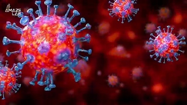 Many Scientists Are Socially Distancing Themselves From Bats