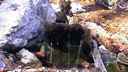 Gofile Papleka - Kole Hasani - Fran Kodra - BJESHKET e MIA