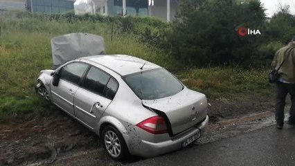 Yoldan çıkan otomobil ağaçları devirdi: 1 yaralı