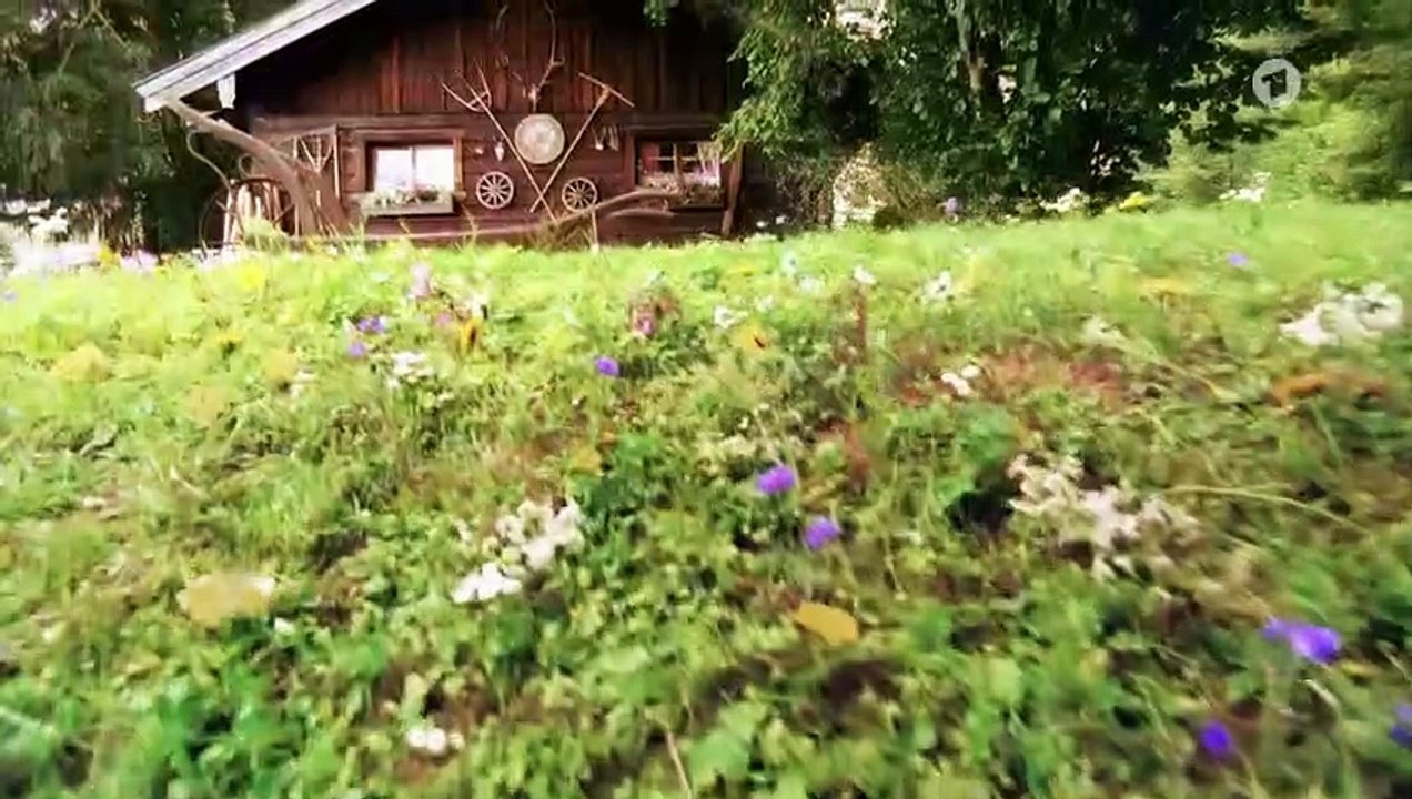 Sturm der Liebe Folge 3607 Die Passwortsuche