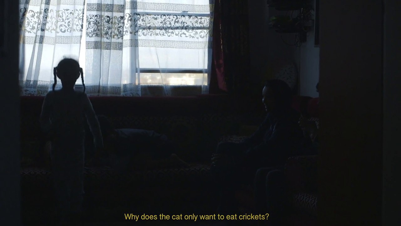 Hayat Movie