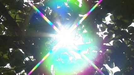 [날씨] 맑고 전국 30℃ 안팎 더위...자외선 주의 / YTN