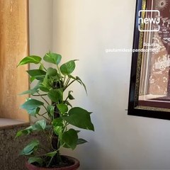 Take A Look On Song Compilation Of Actress Cum Singer Gautami Deshpande