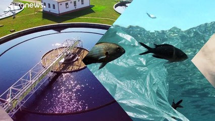 Armamento no fundo do mar Báltico liberta produtos perigosos