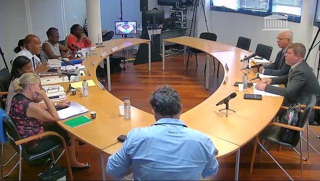 Impact du chlordécone et du paraquat : auditions en Guadeloupe (suite) - Samedi 21 septembre 2019