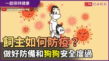 狗飼主如何防疫？做好防備和汪星人健康又安心
