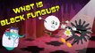 What Is Black Fungus? | Black Fungus Infection | The Dr Binocs Show | Peekaboo Kidz