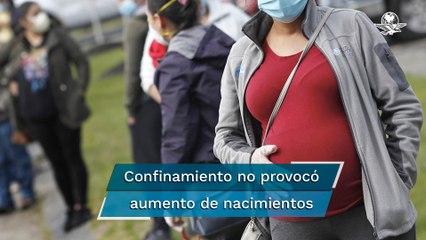 Caen en la UE embarazos en pandemia
