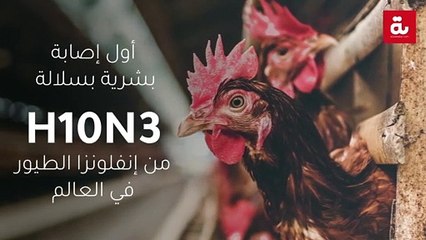 أول إصابة بشرية بسلالة " إتش10 إن 3" من إنفلونزا الطيور في العالم