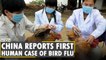 First case of human infection with H10N3 bird flu found in China