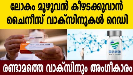 China's Sinovac vaccine gets WHO emergency approval