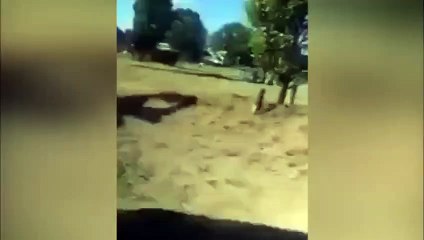 Motosiklet sürücüsünü tahrik ettiğine pişman oldu!