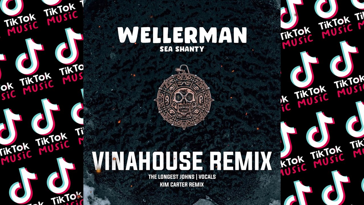 Wellerman (Remix) - video Dailymotion