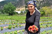 Eşine destek olmak için başladı, köylü kadınlara örnek oluyor