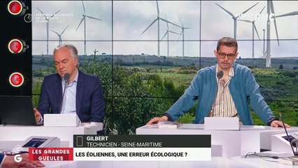 Les éoliennes, une erreur écologique ? - 02/06