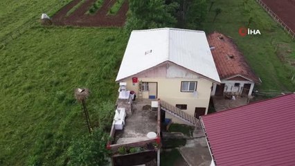 Köy halkı her yıl bu leyleklerin yolunu gözlüyor