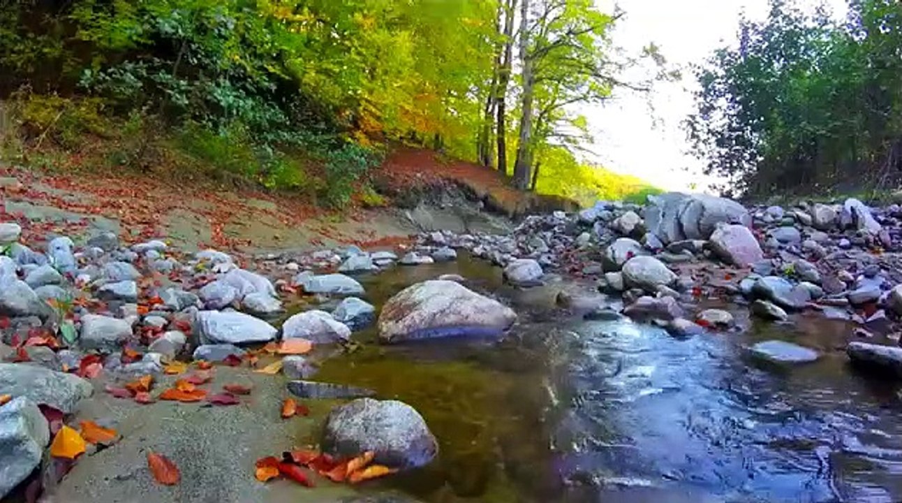 Nature Sounds Relaxing Music Sleep earth Nature Scene Video by Mohan relaxing music