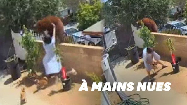 Cette habitante de Los Angeles s'interpose devant un ours pour sauver ses chiens