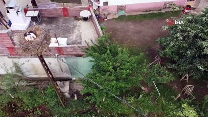 Köy halkı her yıl bu leyleklerin yolunu gözlüyor