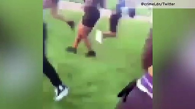 Hyde Park stabbing - Man brutally attacked among park revellers