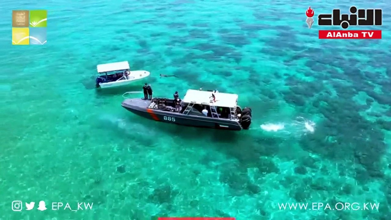 البيئة