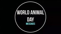 World Animal Day (4th October) Messages, Greetings, Poster Slogans and Wishes