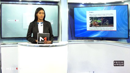 Presse Afrique - 02/06/2021